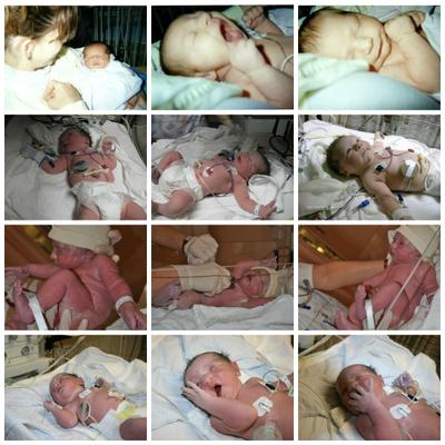 Profile Picture of Debbie Tremblay (@debbie_dksss) on Twitter