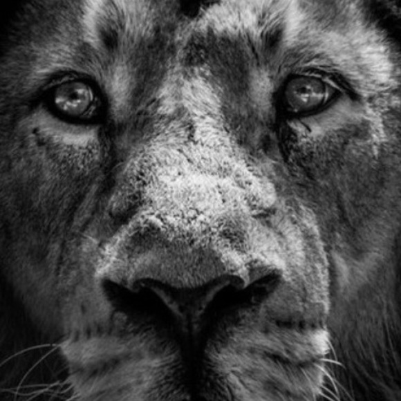 Profile Picture of Dawn Mckay (@dawnmckay) on Poshmark