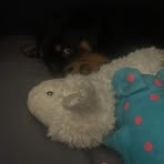 Profile Picture of Blake Uttley (@blake.uttley.3) on Facebook