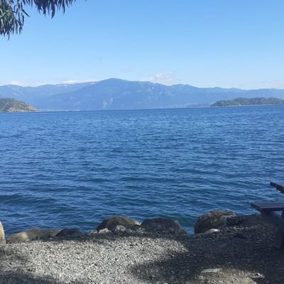 Profile Picture of Ayşe Dural (@AyeDural12) on Twitter