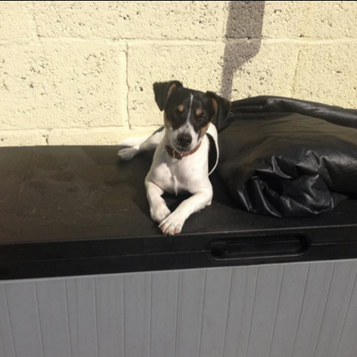 Profile Picture of Josh O Toole (@josh_toole12) on Twitter