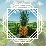 Profile Picture of 🍍EMAGRECER SEM SOFRER & DIETA (@emagrecer_sem_sofrer_dieta) on Instagram