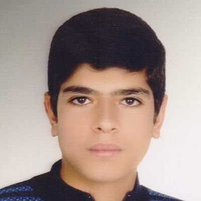 Profile Picture of Fallahi_mensa (@AmirHos88991028) on Twitter