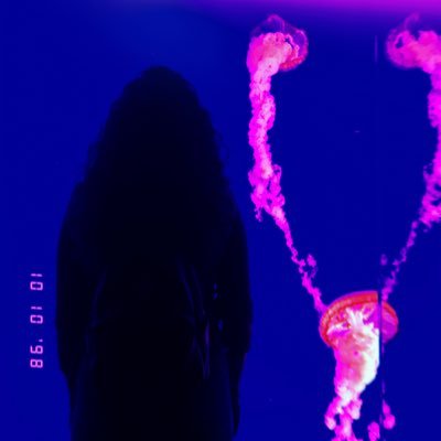 Profile Picture of Elizabeth Caldwell (@LizCalledwell) on Twitter