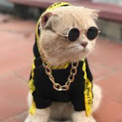 Profile Picture of Dilhan (@dilhan4868) on Youtube