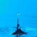 Profile Picture of Chris Masiddo (@cdmfree123) on Pinterest