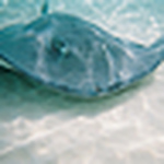 Profile Picture of Michael Cameron (@michael cameron) on Flickr