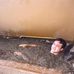 Profile Picture of Jeff Francis Spillane (@jeff.spillane.3) on Facebook