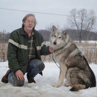Profile Picture of Dennis Vandermeer (@dennis-vandermeer) on Quora