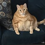 Profile Picture of Brian Hunter (@hapykatt) on Instagram