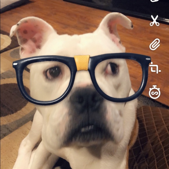 Lisa Noeding - Poshmark Profile Picture of Lisa Noeding (@lisanoeding) on Poshmark