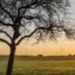 Profile Picture of Jacob Humphrey (@jacobh2023) on Pinterest