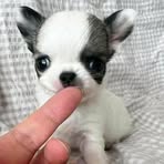 James Juices - Facebook Profile Picture of James Juices (@James-Juices) on Facebook