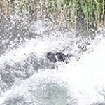 Profile Picture of Alan Braggins (@alan.braggins) on Instagram