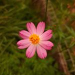 Profile Picture of Ayu Nurhidayah (@ayuyuyu_nh) on Instagram