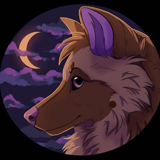 Profile Picture of Dakota Zavada (Sheppy) (@dakota.zavada.3) on Facebook