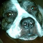 Profile Picture of Craig Lafond (@craig.lafond.3) on Facebook