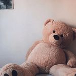 Profile Picture of Shara Michelle (@michelle_shara_) on Instagram