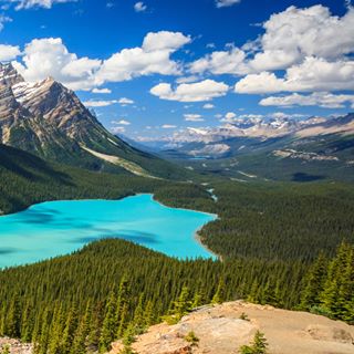 Profile Picture of Rosalina Luis (@rosalina.luis.353) on Facebook