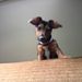 Profile Picture of Anne Cobb (@lacobb35) on Pinterest