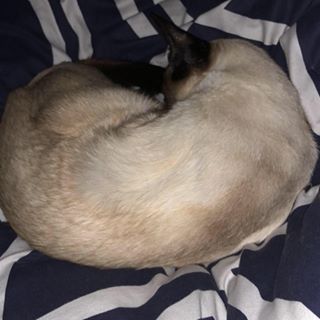 Profile Picture of Harrison Roberts (@harrison.roberts.96343) on Facebook