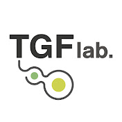 Profile Picture of Prof. Tomas Gonzalez-Fernandez (@ProfTGF) on Youtube