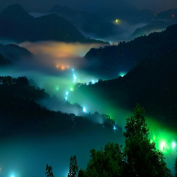 Profile Picture of Phyllis Taylor (@ptaylor89) on Poshmark