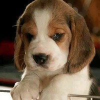 Profile Picture of Michael And Candice Duncan (@michael-and-candice-duncan) on Quora