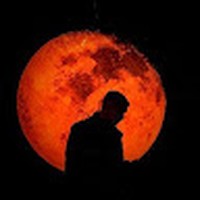Profile Picture of Joey Clay (@joey-clay-11) on Quora