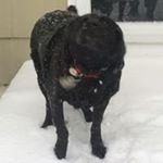 Profile Picture of Adam Horosky (@horosky) on Instagram