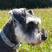 Profile Picture of Leon Pullen (@lpullen786) on Pinterest