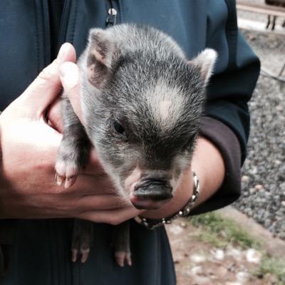 Profile Picture of Jim Savino (@JimSavino) on Twitter