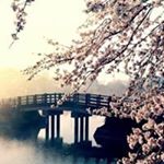 Profile Picture of Misaki Miku (@nancy_ro96) on Instagram