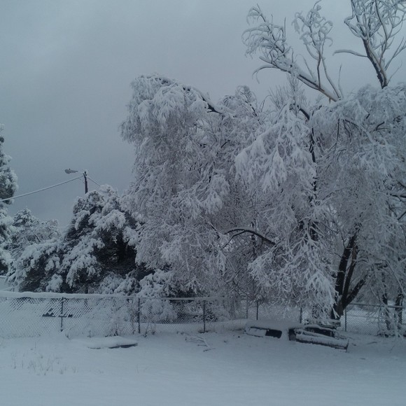 Profile Picture of Cwa Bonito (@deronmassey) on Poshmark