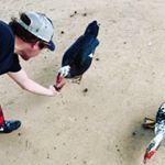 Profile Picture of Corey Dean (@damn_pilgrim) on Instagram