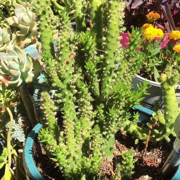 Rose Lundt - Poshmark Profile Picture of Rose Lundt (@lundtrose56) on Poshmark