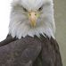 Profile Picture of Ray Cramer (@ray.cramer.71) on Facebook