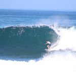 Profile Picture of Andrew Rennie (@andrew_rennie_for_real) on Instagram