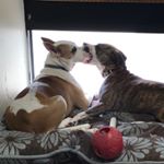 Profile Picture of Mike Marmer (@m1marmer) on Instagram