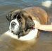 Profile Picture of Anne Ogden (@anne.ogden.752) on Facebook