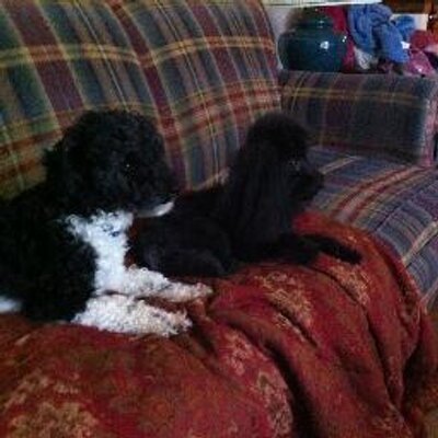 Profile Picture of Andrew E. Nunnally (@AndrewENunnally) on Twitter