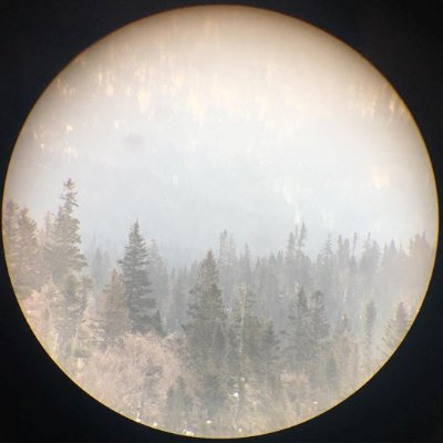 Profile Picture of Marc-Étienne Paradis (@meparadis1) on Twitter