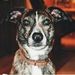 Profile Picture of David Heggie (@daveheggie0682) on Pinterest