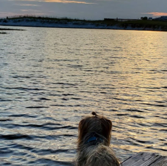 Profile Picture of Shawn Plunket (@shawnplunket4) on Poshmark