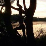 Profile Picture of Olivia LaPorte (@oloveia_) on Instagram