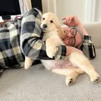 Profile Picture of David Platt (@david.platt.12327) on Facebook