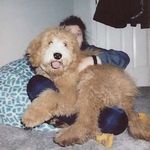 ellie lashutka - Instagram Profile Picture of ellie lashutka (@ellie_lashutka) on Instagram