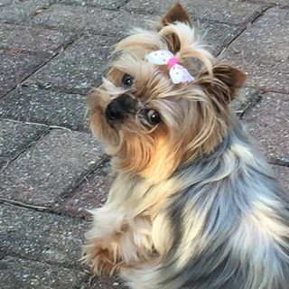 Profile Picture of Randy Eidemiller (@randy.eidemiller) on Facebook