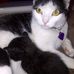 Profile Picture of LucyRumple ThompsonRand (@lucyrumple.thompsonrand) on Facebook