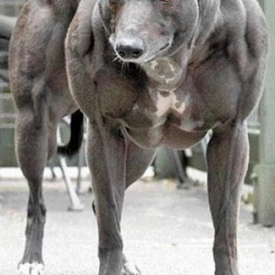 Profile Picture of Craig Reis (@ReisCraig) on Twitter